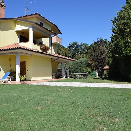 La Casa Nell'Oliveto Bed & Breakfast Acquasparta Extérieur photo