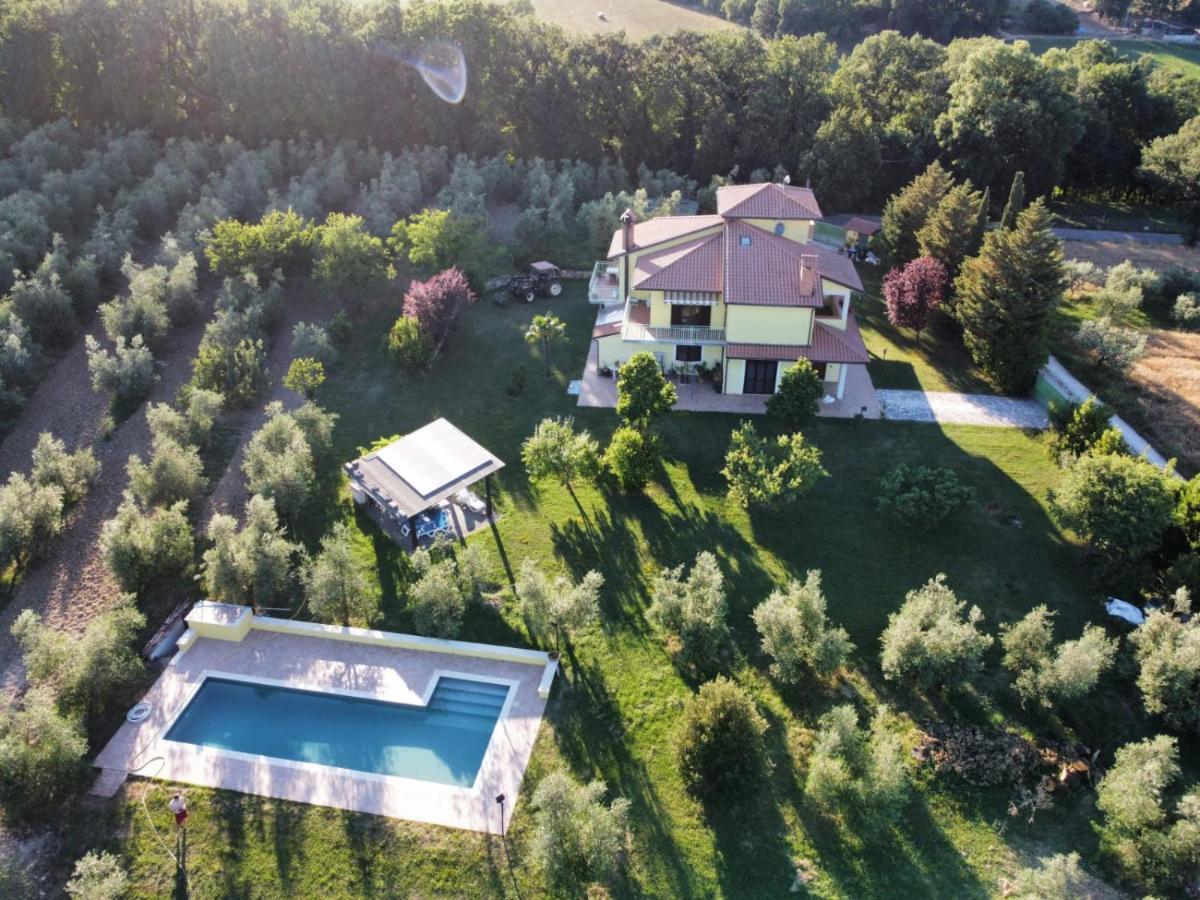 La Casa Nell'Oliveto Bed & Breakfast Acquasparta Extérieur photo