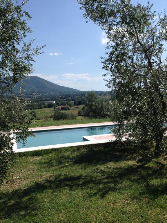 La Casa Nell'Oliveto Bed & Breakfast Acquasparta Extérieur photo