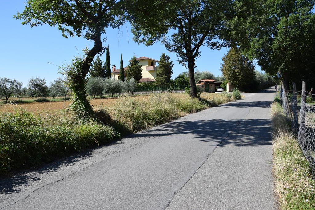 La Casa Nell'Oliveto Bed & Breakfast Acquasparta Extérieur photo